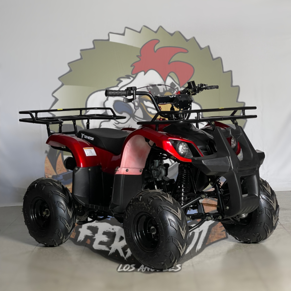 hummer motor 110cc tao motor