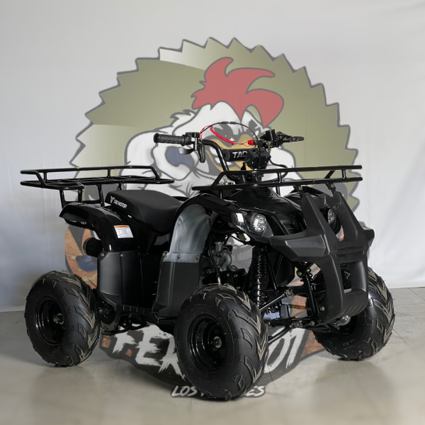 hummer motor 110cc tao motor