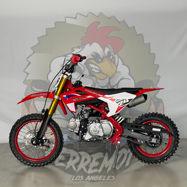 motocicleta dirtbike 110cc tao motor