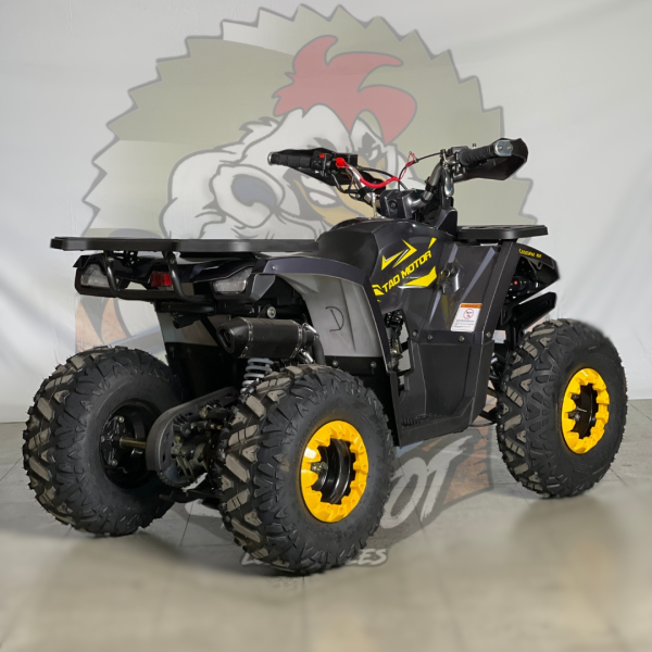 Cuatrimoto shark 125cc tao motor