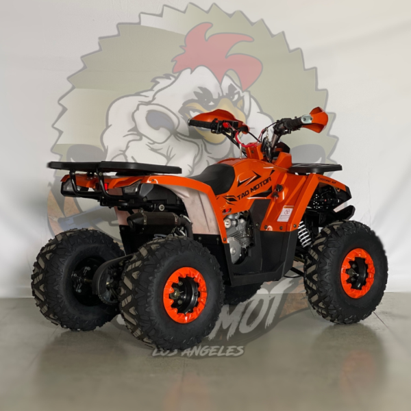 Cuatrimoto shark 125cc tao motor