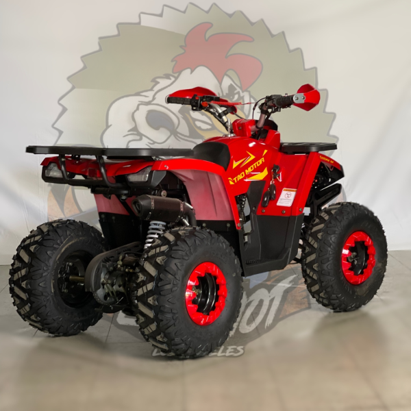 Cuatrimoto shark 125cc tao motor