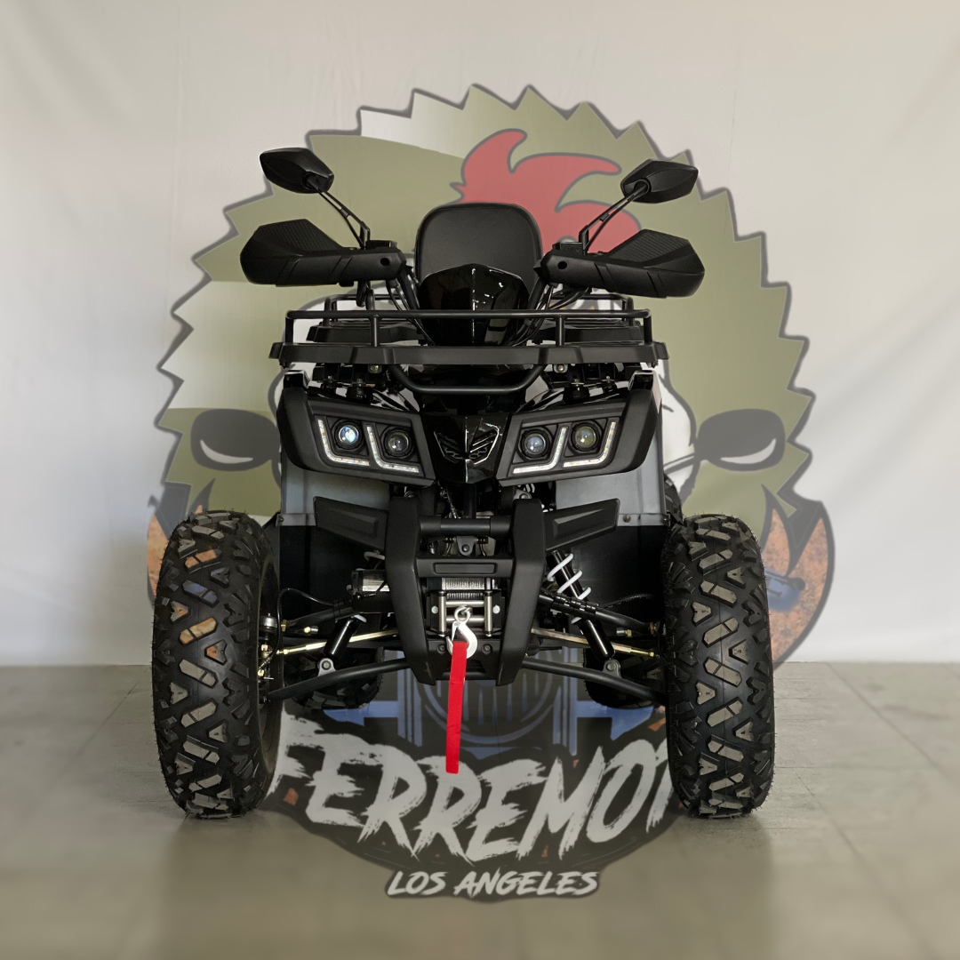 Cuatrimoto warrio 200cc tao motor