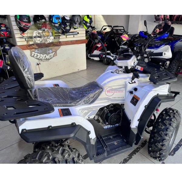 cuatrimoto hunter 250 wen motors