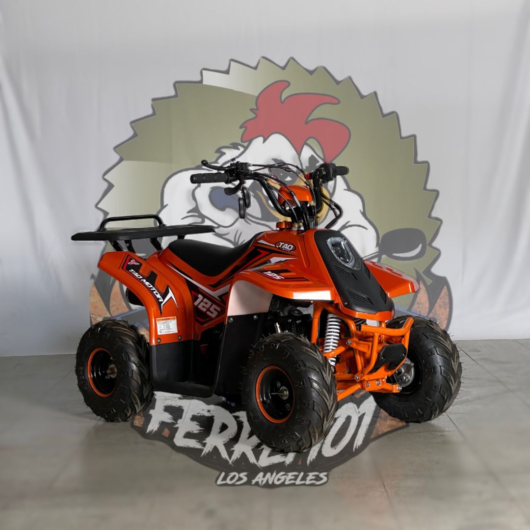 Cuatrimoto raptor boulder 110cc tao motor