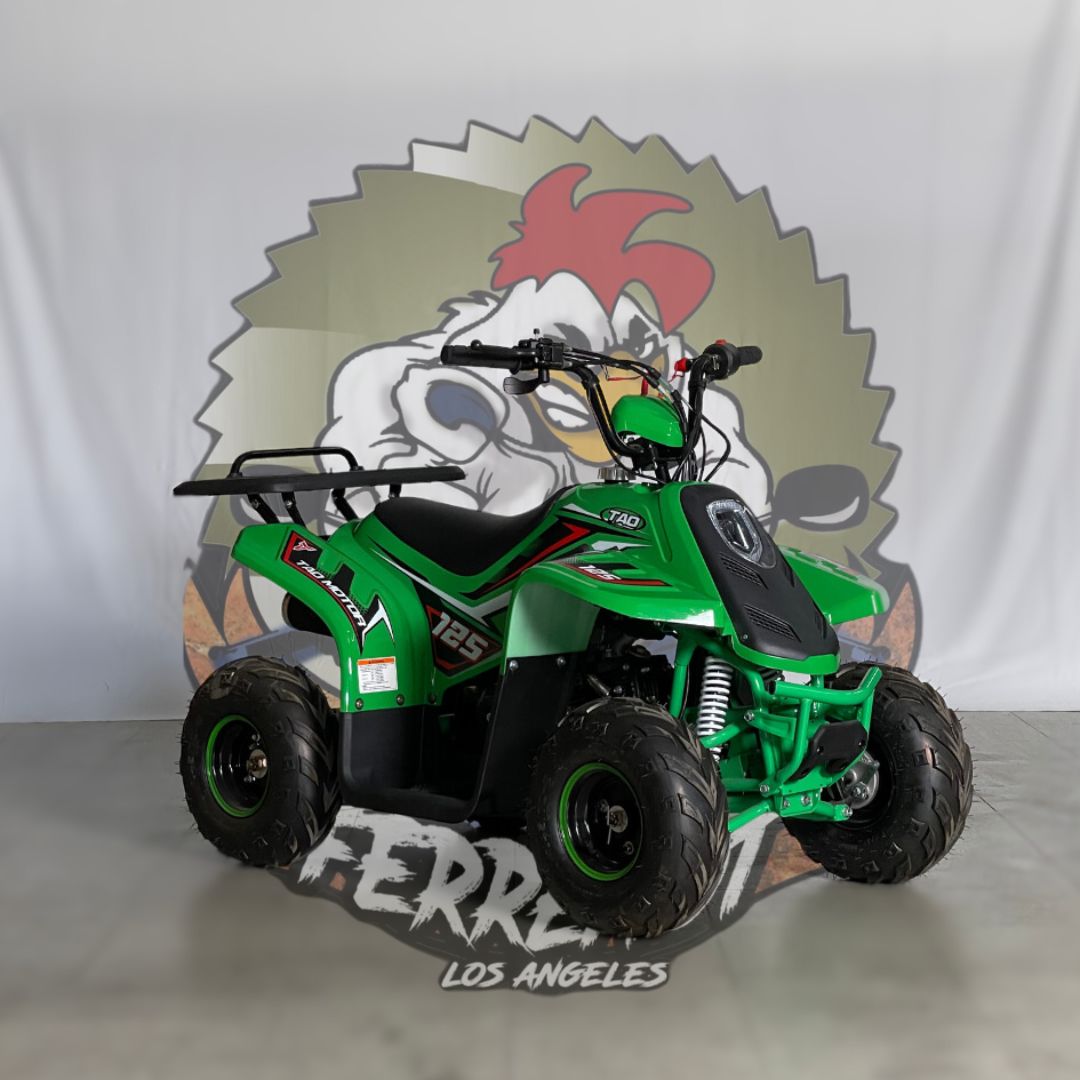 Cuatrimoto raptor boulder 110cc tao motor