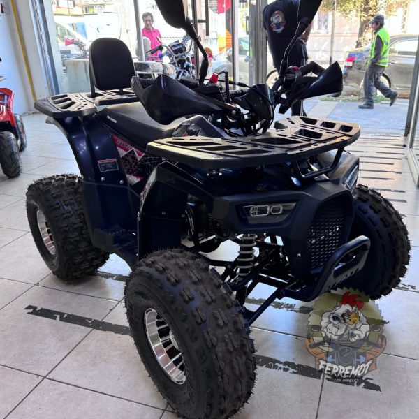 cuatrimoto torm 125 cc mye