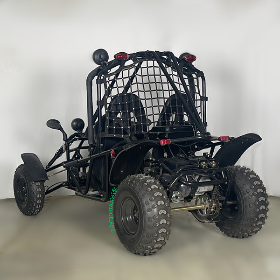 Buggy 200cc tao motor