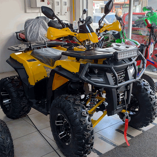 Cuatrimoto hunter 250cc wen motors