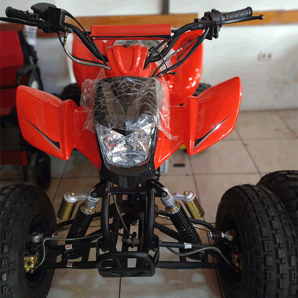 Cuatrimoto raptor Bashan 250cc