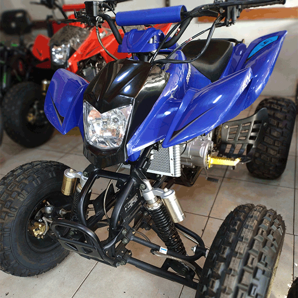 Cuatrimoto raptor Bashan 250cc