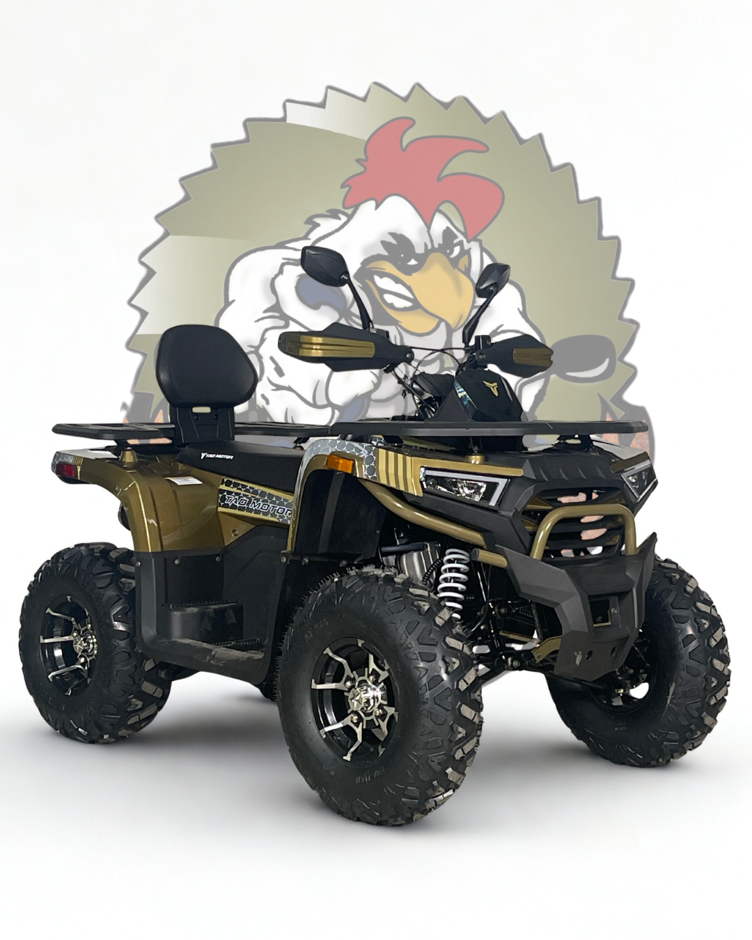 TITAN 250CC TAO MOTOR