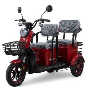 TRICICLO ELECTRICO C6