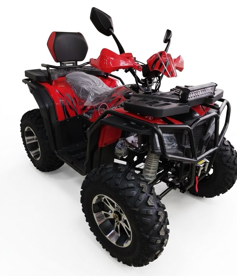 dodge300 1